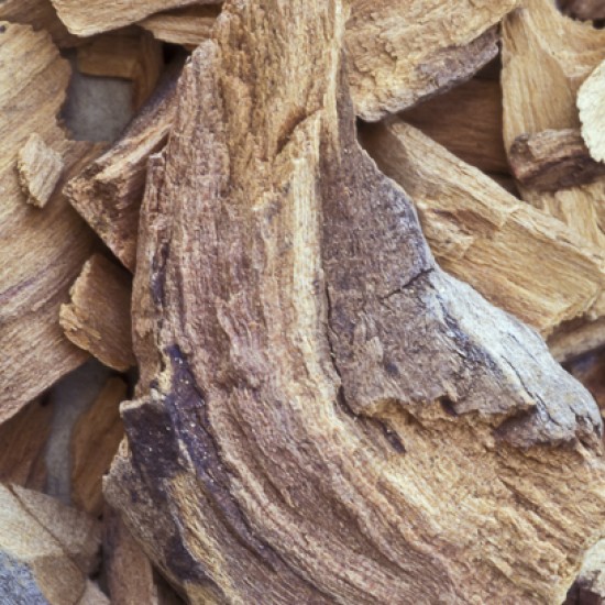 Sandalwood Essential Oil in Coconut 5ml Sandalwood Essential Oil in Coconut 5ml