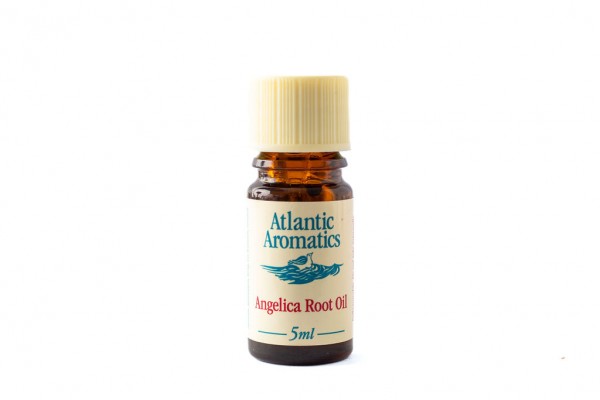 Angelica Root Essential Oil 5ml