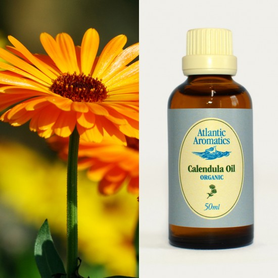 Calendula Oil Organic 50ml